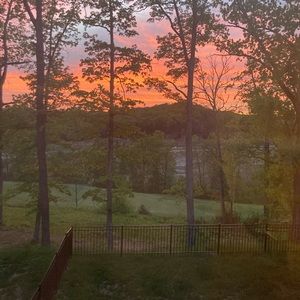 Meet your Posher, Bella